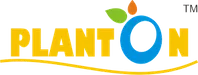 Website Design Image